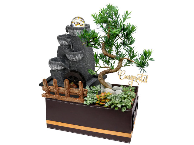 Flower Shop Plants - Grand Opening Plant with Flowing Water Furnishing Gift Set SS03 - FOB0718A1 Photo