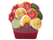 /en/s/product_short/FT0319B3