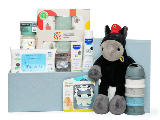 New Born Baby Gift - NICI x Ferrari Horsie Doll Baby Hamper NB34 - B30107A1 Photo