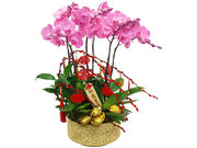 /en/s/product_short/CRO20107A2