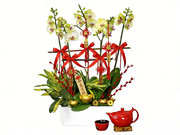 /zh-hans/s/product_short/L76610690