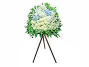 /zh-hans/s/product_short/L36668888