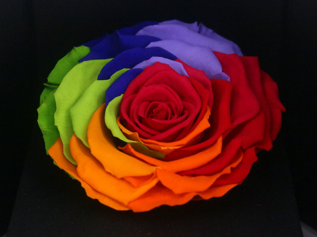 永生不死花 - 永生保鲜花盒花 M69 - PX0330A4 Photo