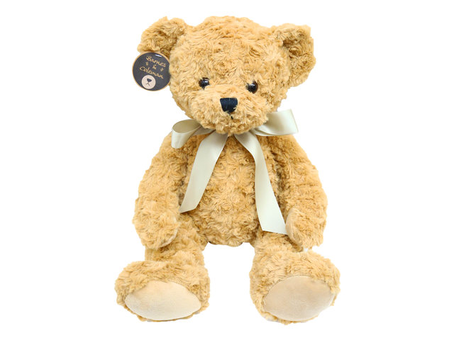 泰迪熊毛公仔 - Barnes & Coleman 经典米棕色 Teddy Bear - L9857 Photo
