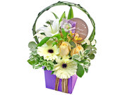 /zh/s/product_short/L180764