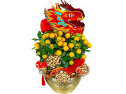 /zh-hans/s/product_short/0TT0113A1