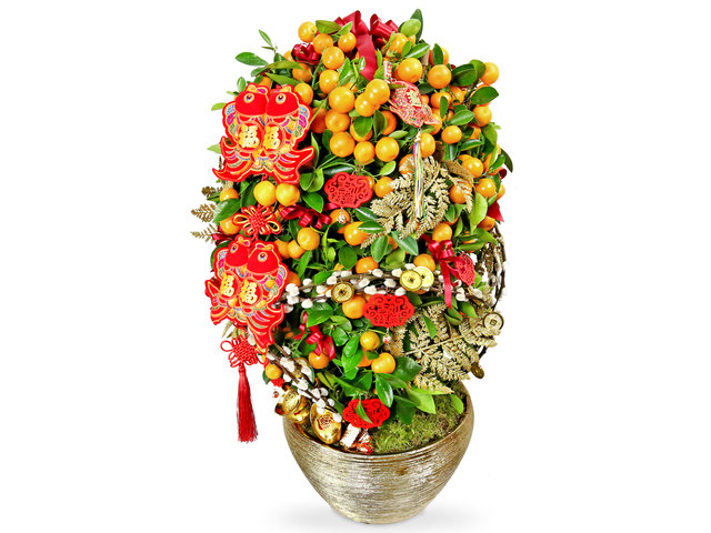 花店植物盤栽 - 特大賀年大桔大利盆栽 NY04 - 0TT0208A1 Photo